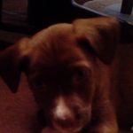 Lorik - @lorik.boss - Instagram