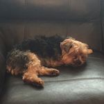 Lori Boswell Watt - @loriboswellwatt - Instagram