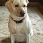 Lori Boucher - @thatcherboucher - Instagram