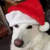 loribowling62 - @whistlepigpottery - TikTok