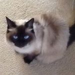 Lori Boynton Butler - @lcbutler11 - Instagram