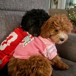Lori Brake Hobbs - @lori.hobbs75 - Instagram