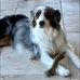 Lori Bruman - Facebook