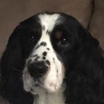 Lori Nemecek Braman - @nemecekbraman - Instagram