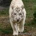 Lori Branch - Facebook