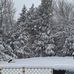 Lori Brannen - Facebook
