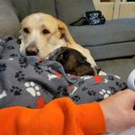 Lori Bratcher - @bratcher7660 - Instagram
