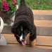 Lori Brecht - Facebook