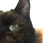 Lori Breen - @loribreen6 - Instagram