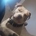 Laura Breeze - Facebook