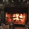 Lori Cichon sea breeze - @lori.cichon.sea.b - TikTok
