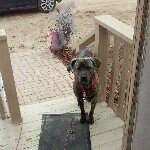Lori Bricker - @lori_bricker - Instagram