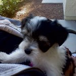 Lori Bricker - @loribricker1108 - Instagram