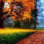Lori Bricker - @lori.bricker.73 - Instagram