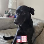 Lorraine Brigham Thomason - @lthomason76 - Instagram