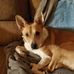Lorie Bronson - Facebook