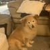 Lorrie Bronson - Facebook