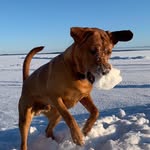 Lori-Ann Brown - @loribrown_ - Instagram