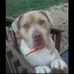 Lori Brown - Facebook