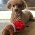 Lori Brower - Facebook