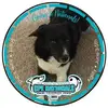 Lori Bunch836 - @loribunch836 - TikTok