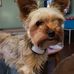 Loretta Burbridge - Facebook