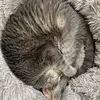 Laurie Burcham - @laurie.ellen - TikTok