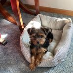 Lori Burk - Facebook