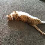 Lori Burnham - @loriburnham01 - Instagram