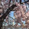 Lori Ellen Archer- Burnham - @lori.ellen.archer - TikTok