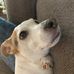 Lori Byars Buchanan - Facebook