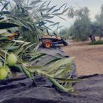 CABRERA LORITE SERV.AGRICOLAS - @cabreralorite.agricola - Instagram