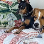 Lori Cairns - @lacairns63 - Instagram