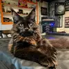Lori Calderon - @lori.grupenhof - TikTok