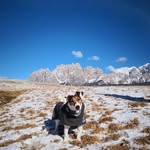 Lori - @loricalissano - Instagram