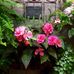Lori OCallaghan - Facebook
