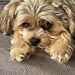 Lori Canada - @lori.canada.5 - Instagram