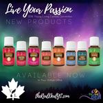 Lori Edwards - YL Canada - @loriedwardsyl - Instagram