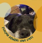Lori Canady - Facebook
