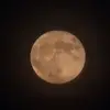lori Cantara - @lori.cantara - TikTok