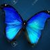 Lori Card - Facebook