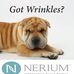 Lori Card-Stroik Independent Brand Partner Nerium International - Facebook
