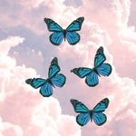 Lori Cardwell - @cardwell7959 - Instagram