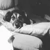 loricardwellshipl - @loricardwellshipl - TikTok