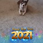 Lori Casteel - @lori.casteel.585 - Instagram