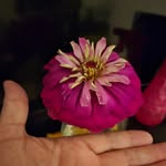 Lori Castillo - @castlebluuu - Instagram