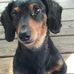Lori Sue Catoe - Facebook