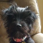 Lori Catron - @catronlori - Instagram