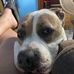 Lori Catron - Facebook