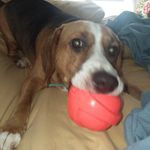 Lori Catt Rigg - @loricattrigg - Instagram